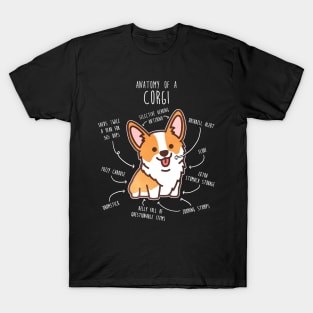 Corgi Dog Anatomy T-Shirt